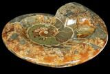 Wide Polished Fossil Ammonite Dish - Inlaid Ammonite #133253-1